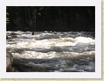 GlenwoodMemorialWeekend 019 * Mark leading us down the Slaughterhouse run on the Roaring Fork River * Mark leading us down the Slaughterhouse run on the Roaring Fork River * 2560 x 1920 * (1.13MB)
